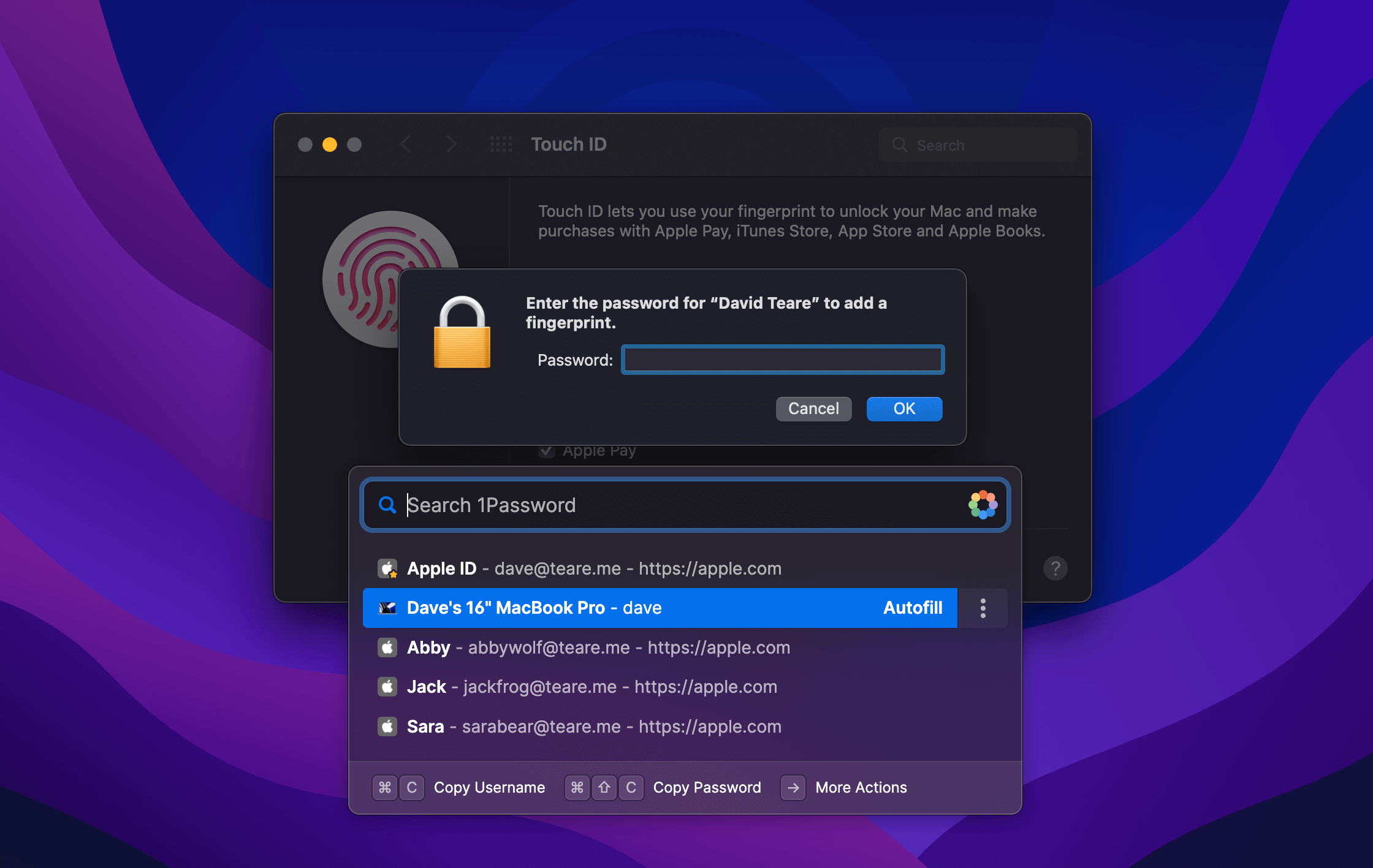 1Password 8 with Autofill for apps and system prompts.