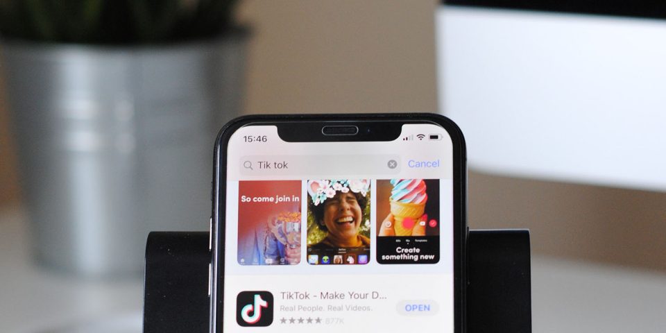 Delete TikTok | App on smartphone screen