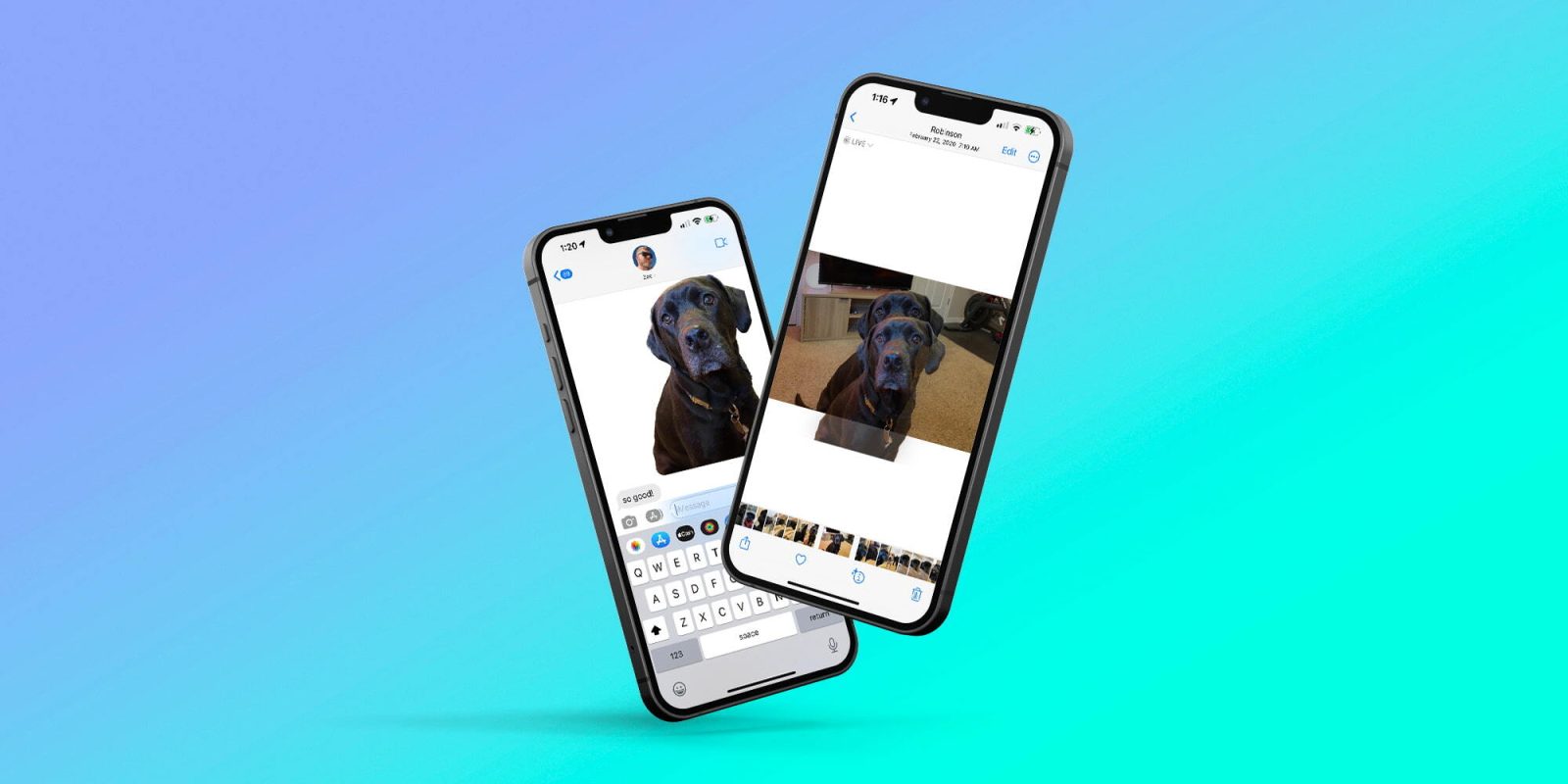 photo of iOS 16 can instantly remove the background from any image, here’s how image