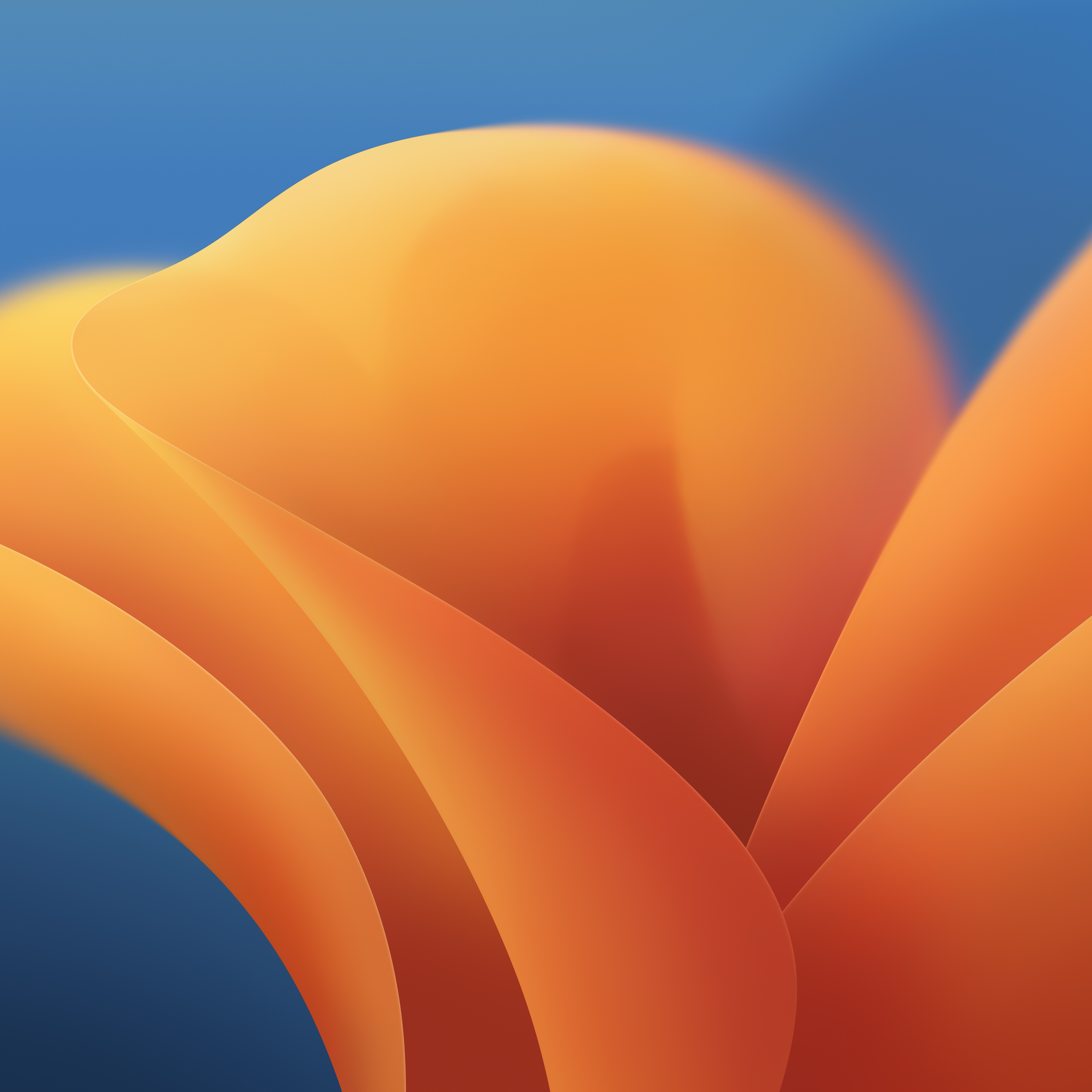 Download the New El Capitan Wallpapers for OS X and iOS - iClarified