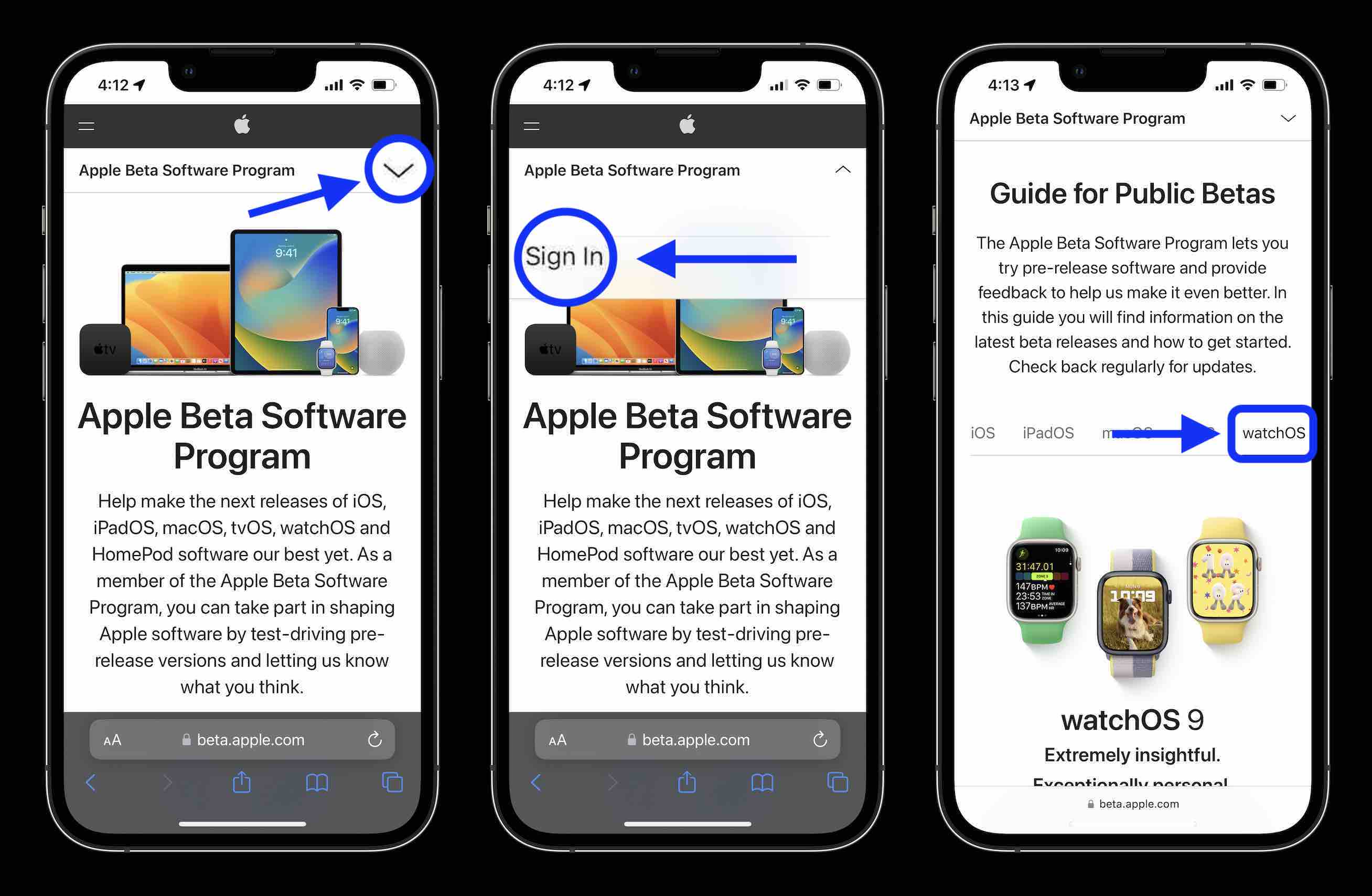 install watchOS 9 public beta 1