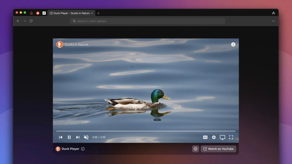 DuckDuckGo Mac public beta
