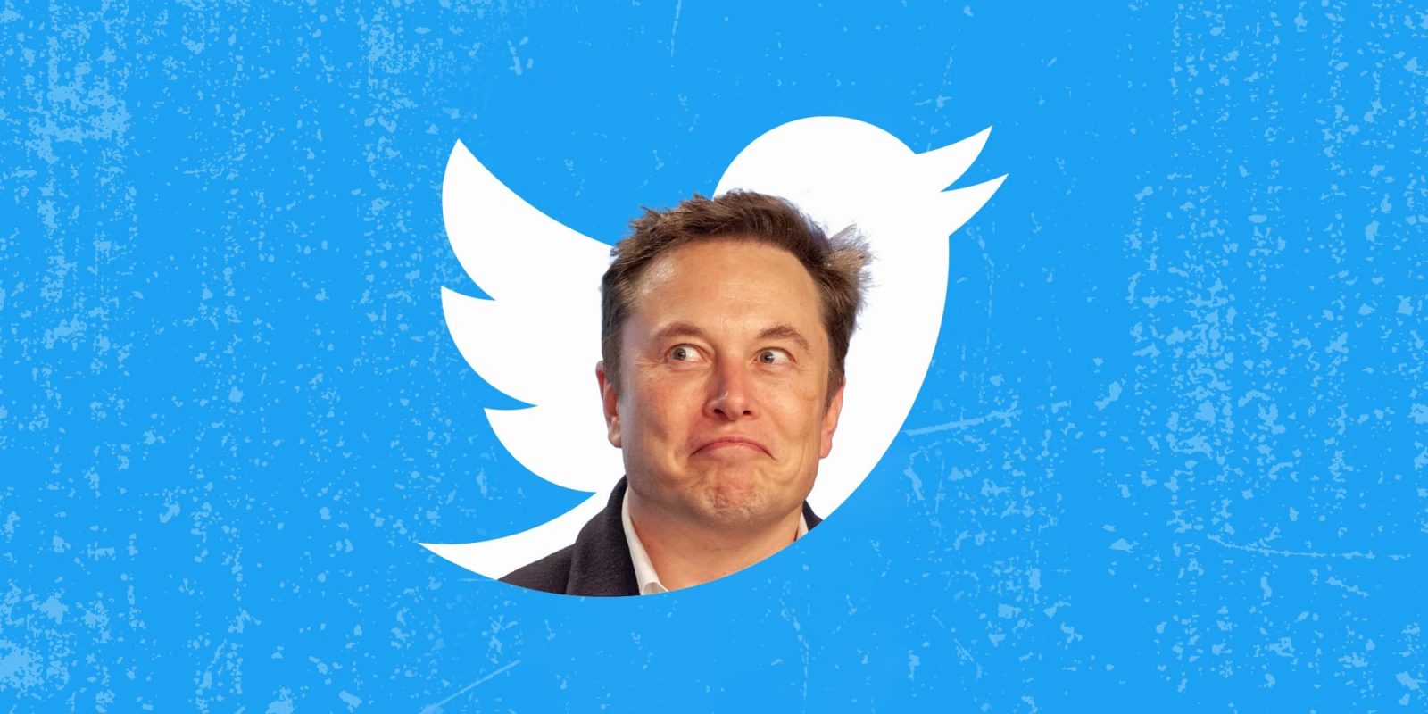Elon Musk Twitter CEO