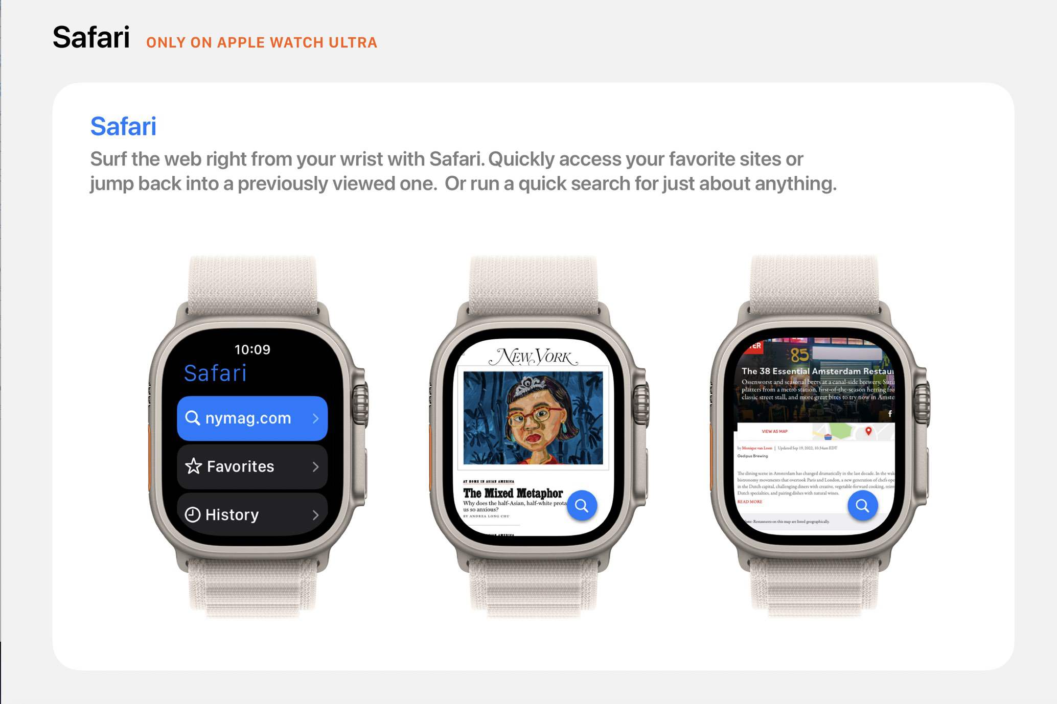 Safari on online iwatch