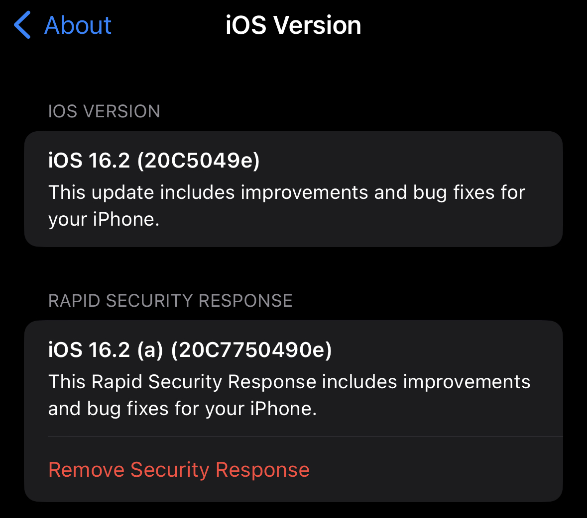 Apple tests 'Rapid Security Response' update on iOS 16.2 beta - 9to5Mac