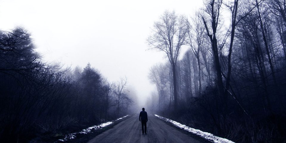 Twitter roundup | Man walking alone into the woods