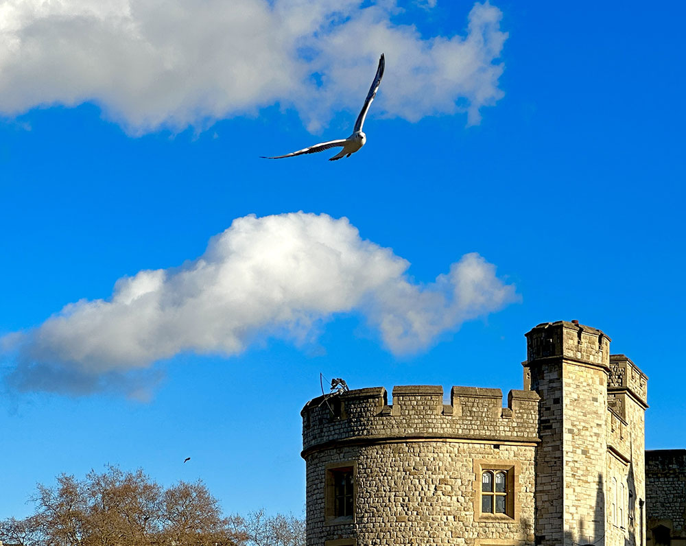 3x optical zoom on the iPhone 14 Pro finding fresh perspectives