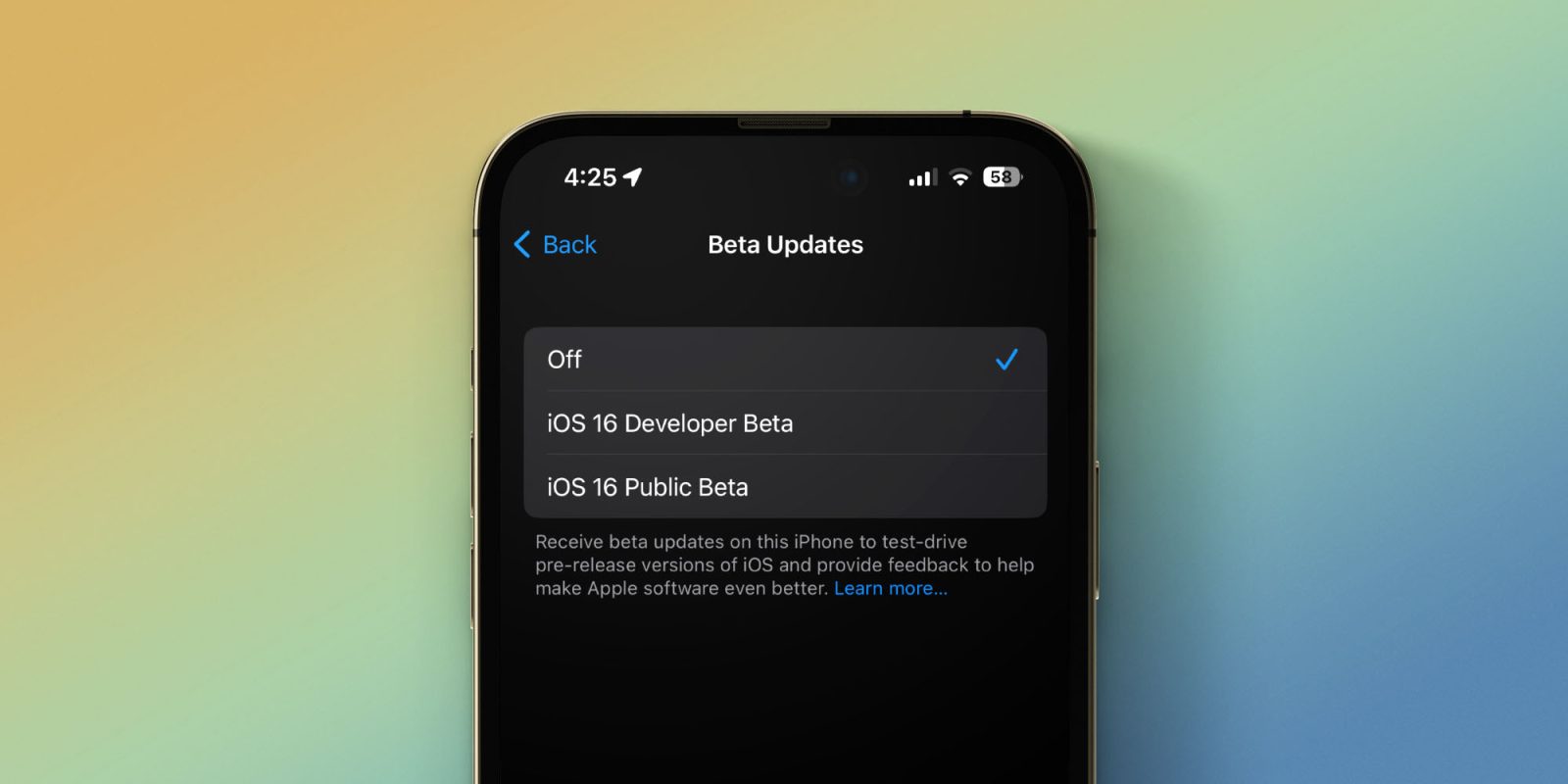 [設定]で iOS ベータ版の更新を有効にします。