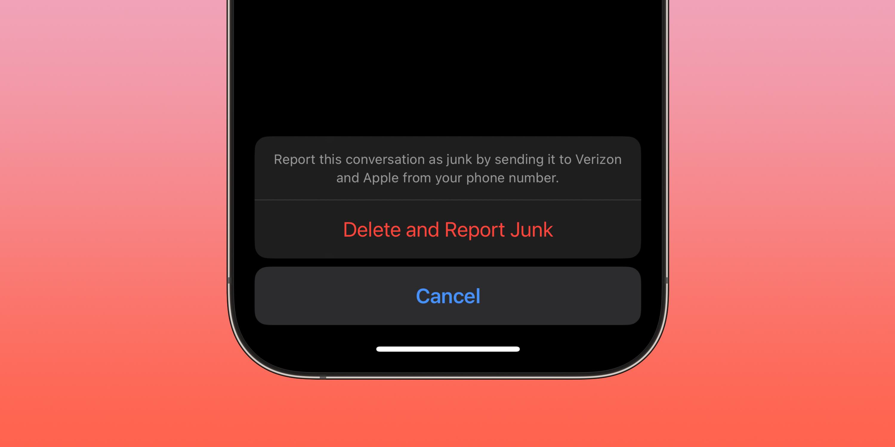 Report scam texts on iPhone