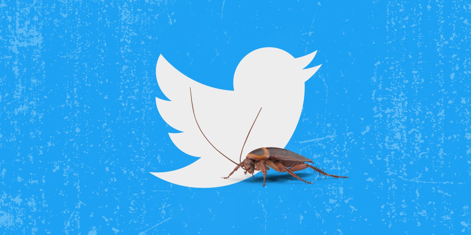 Twitter bug deleted tweets