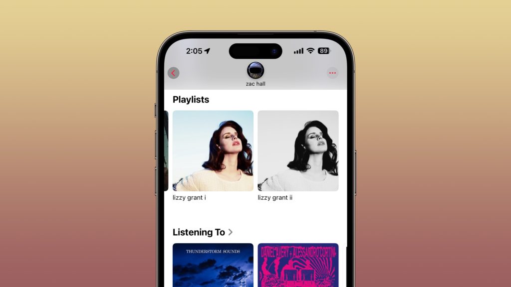 Visualize álbuns, playlists e muito mais no Música no iPhone