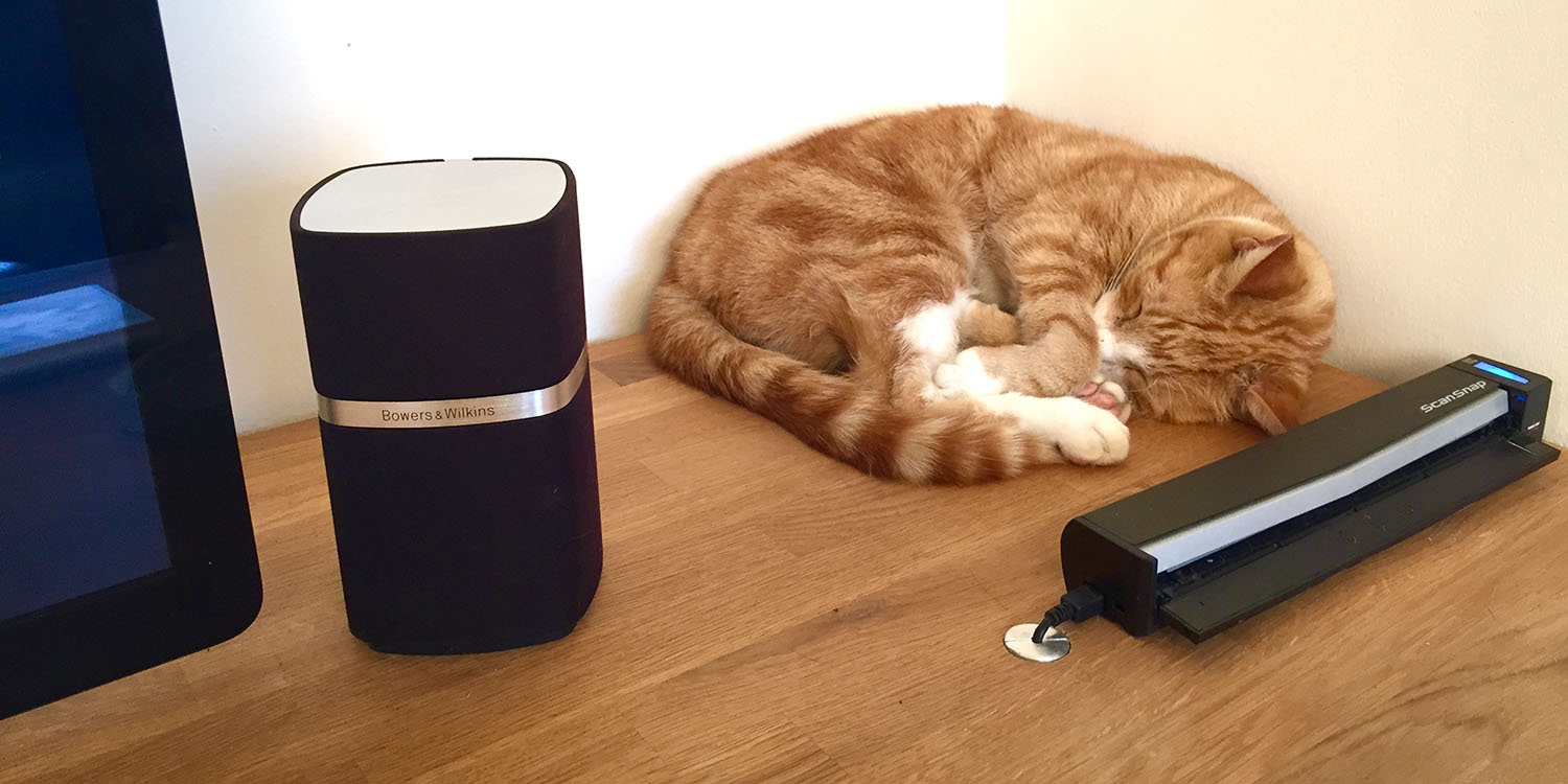 Apple Watch sleep tracking | Cat asleep on a desk