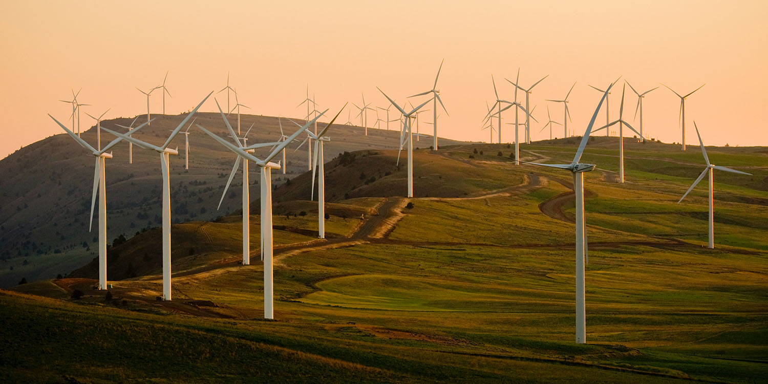 Foxconn decarbonization rating | Windfarm at sunrise