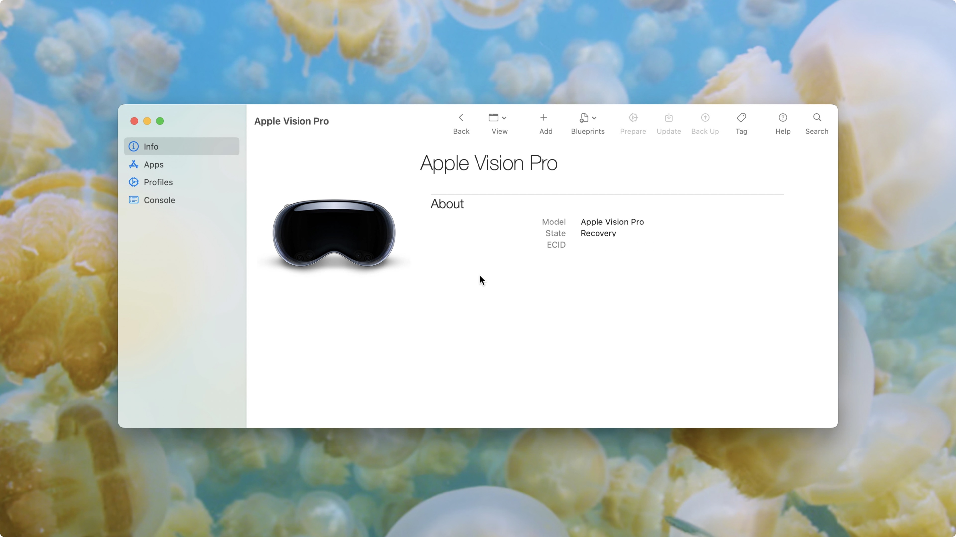 Apple Vision Pro en mode de récupération sur Apple Configurator.