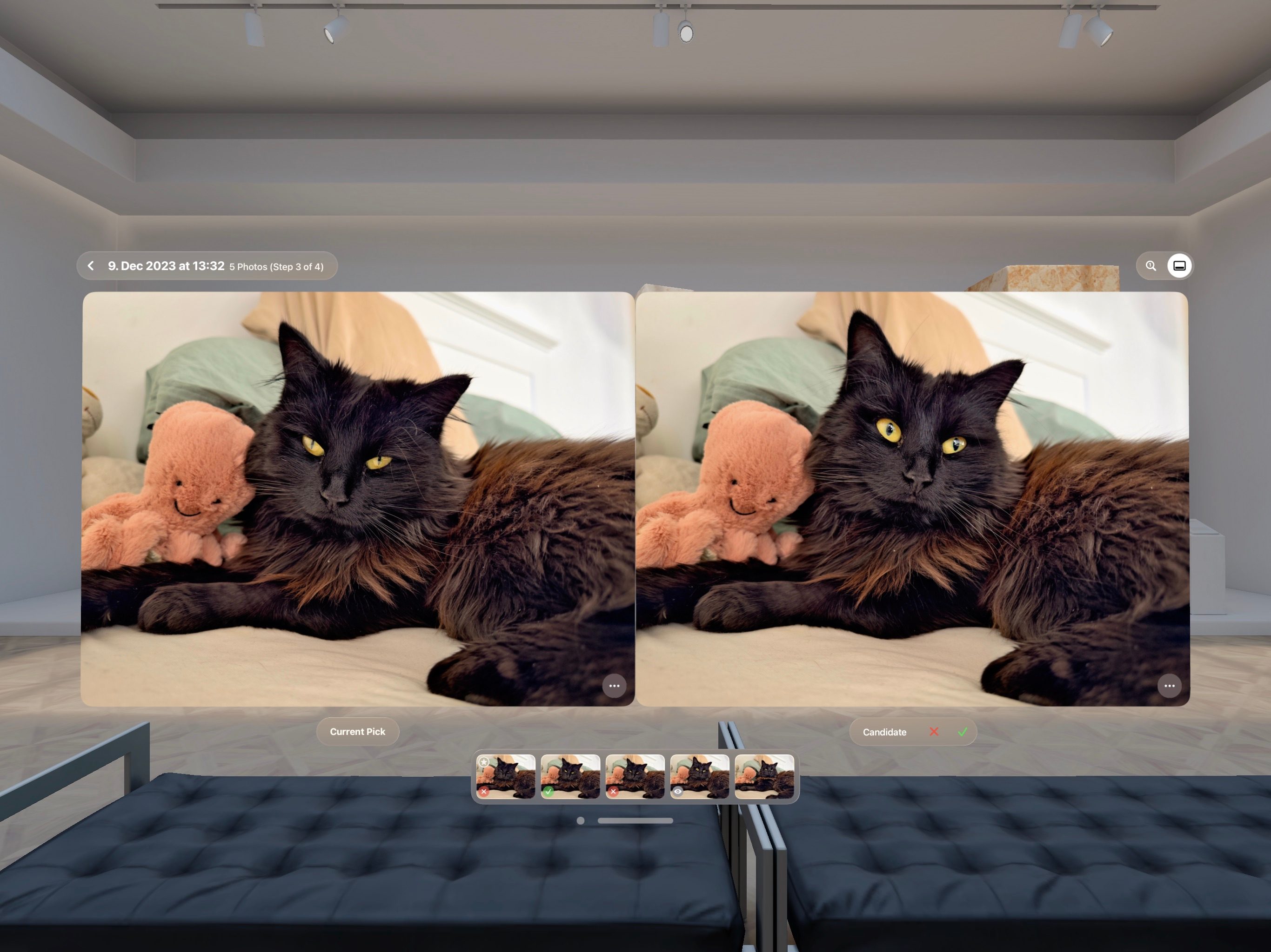 Photoscope — новое приложение для iPhone и Apple Vision Pro для очистки фотобиблиотеки и поиска лучших снимков