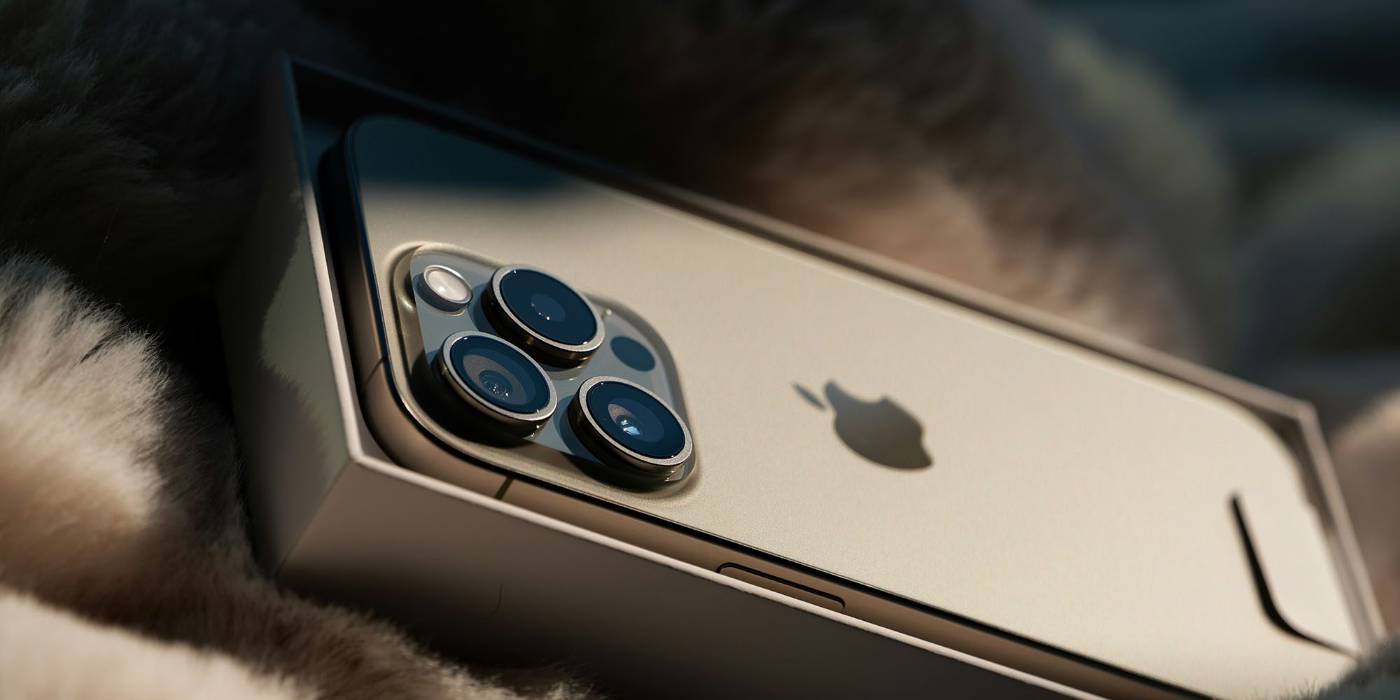 iPhone 17 «Slim», как сообщается, получит новый 6,55-дюймовый дисплей