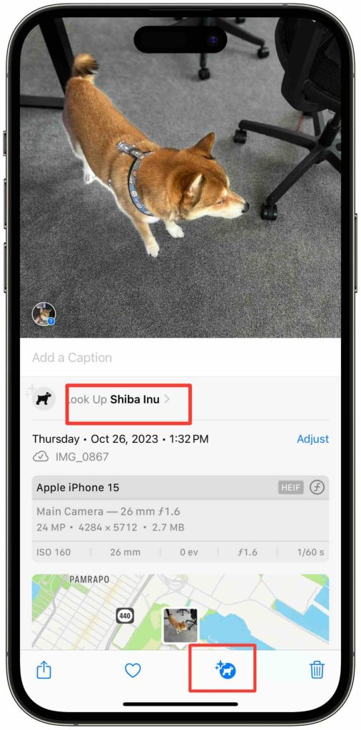 iPhone’s Photos App is More Feature-rich than You Think: A Complete Walkthrough