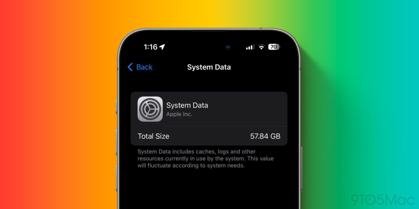 iPhone System Data storage bug