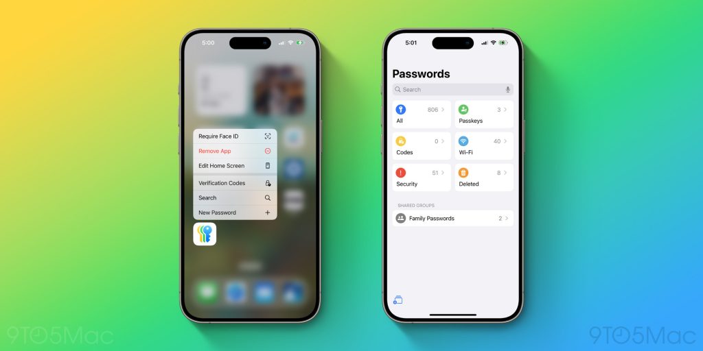 iOS 18 Passwords app