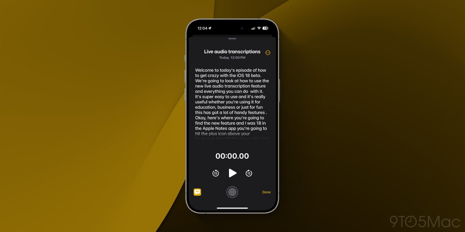 Use audio transcriptions iOS 18