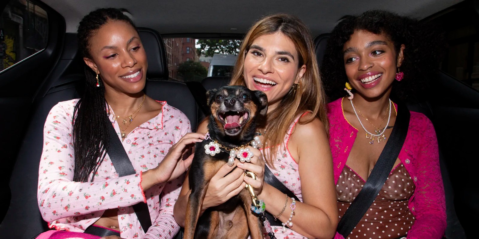 Lyft Pet Rides | Dog with three human friends in the back of Lyft car