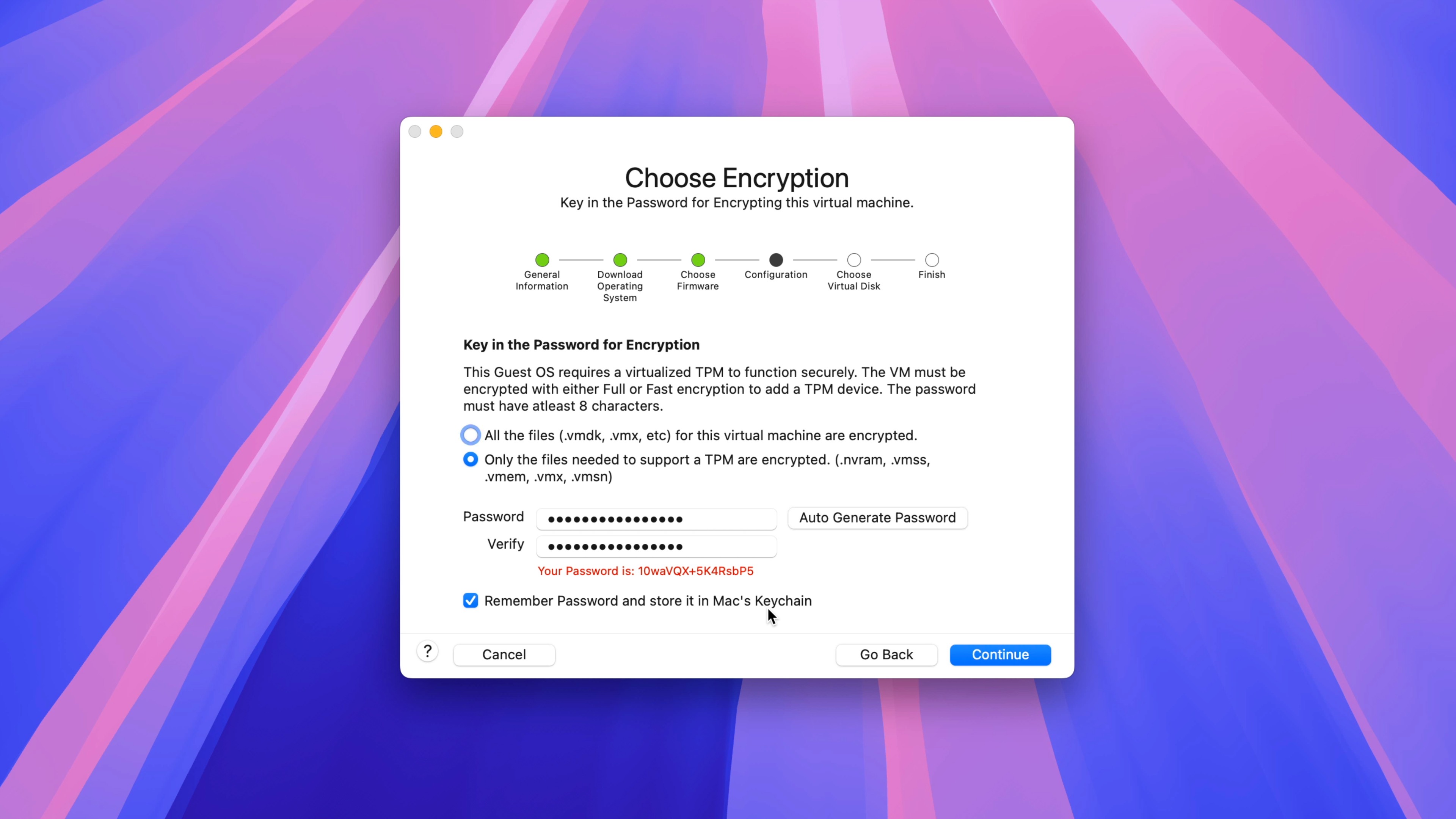 Windows 11 on Mac with VMware Fusion Pro free - Choose Encryption