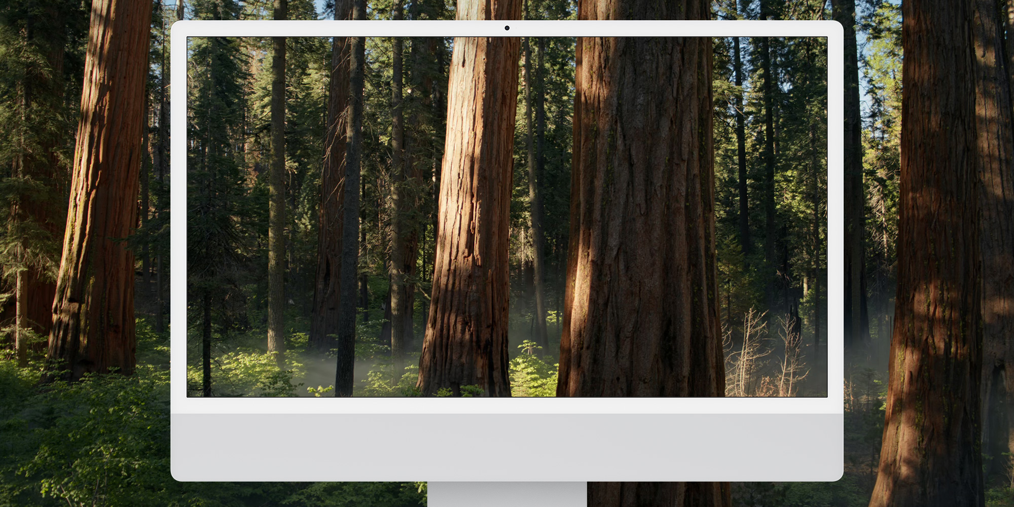 O macOS Sequoia beta 5 adiciona um novo papel de parede – e você pode baixá-lo aqui