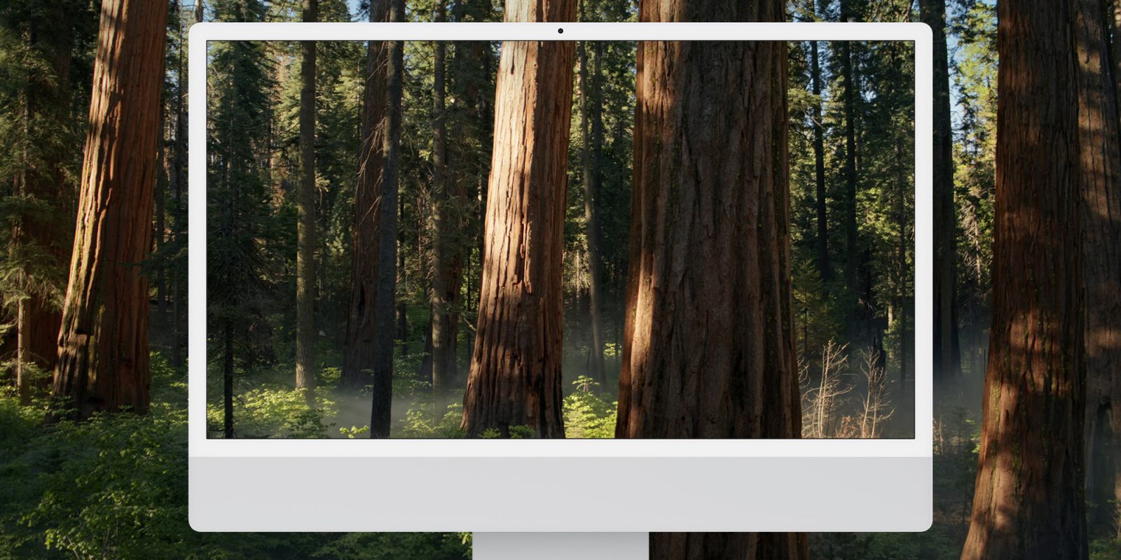 macOS Sequoia beta 5 adds a new wallpaper – and you can download it here