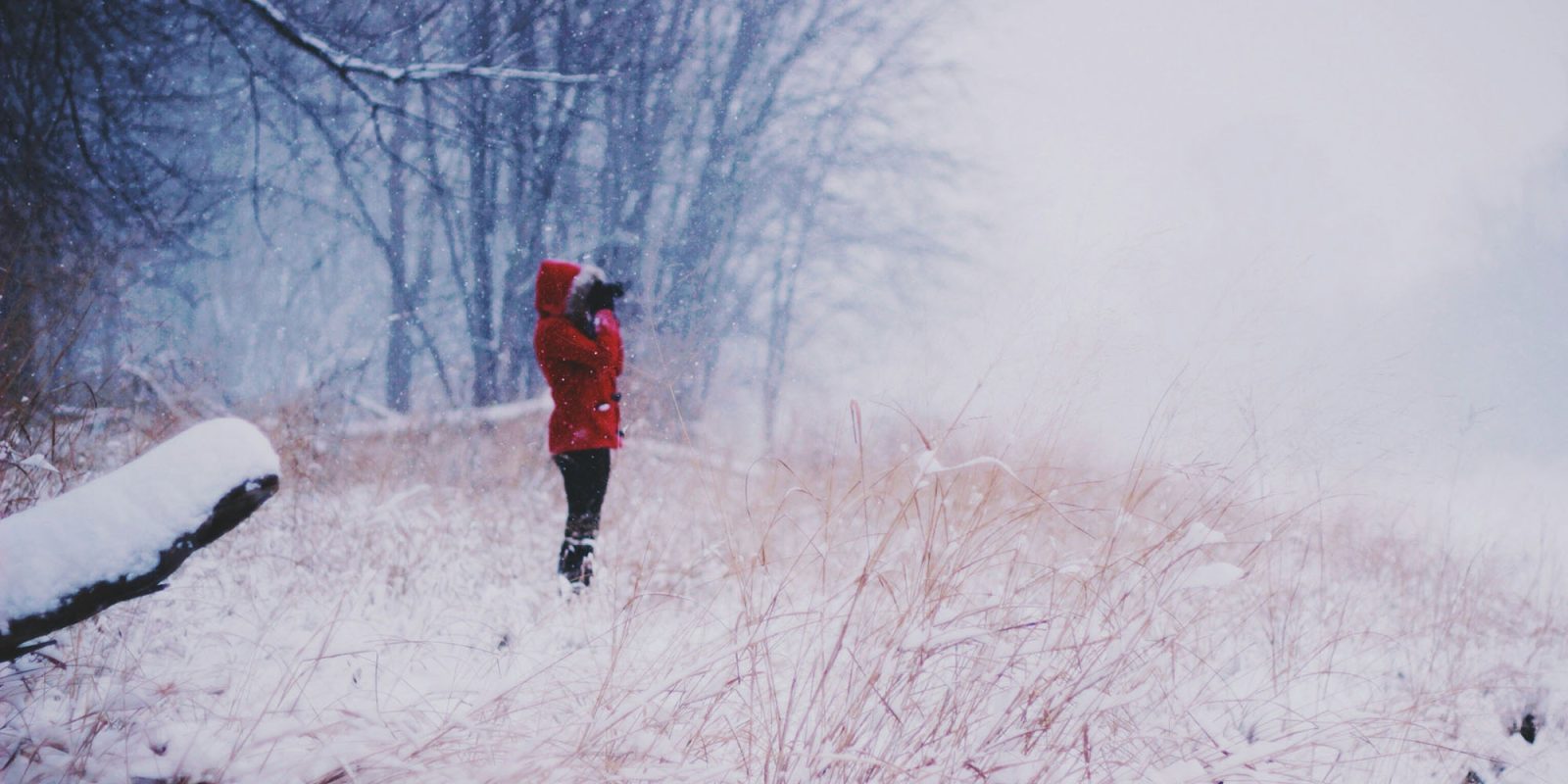 British iPhone users sent alerts of 'severe high temperatures' of 39F | Person standing in snow looking through binoculars