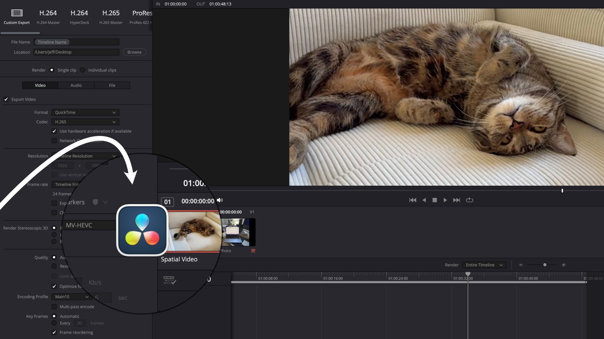 DaVinci Resolve 19.1 с поддержкой редактирования пространственного видео теперь доступен в Mac App Store