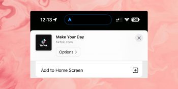 Android users who want TikTok would be best advised to copy iPhone users | Screengrab of option to save a website to the Home Screen