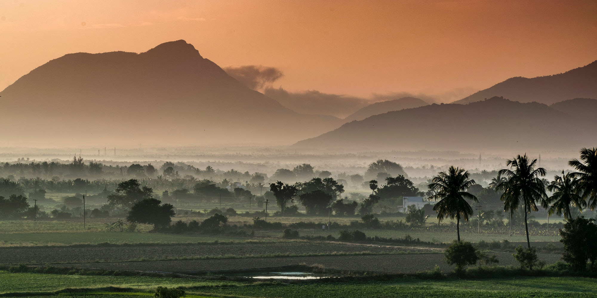 photo of Most US iPhones are now made in India as Apple responds to tariffs image