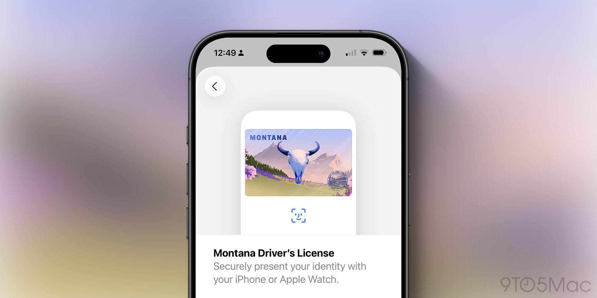 Article Data