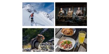 Adobe explains why its DSLR-like camera app Indigo doesn't support the iPhone 17 | Sample photos shown