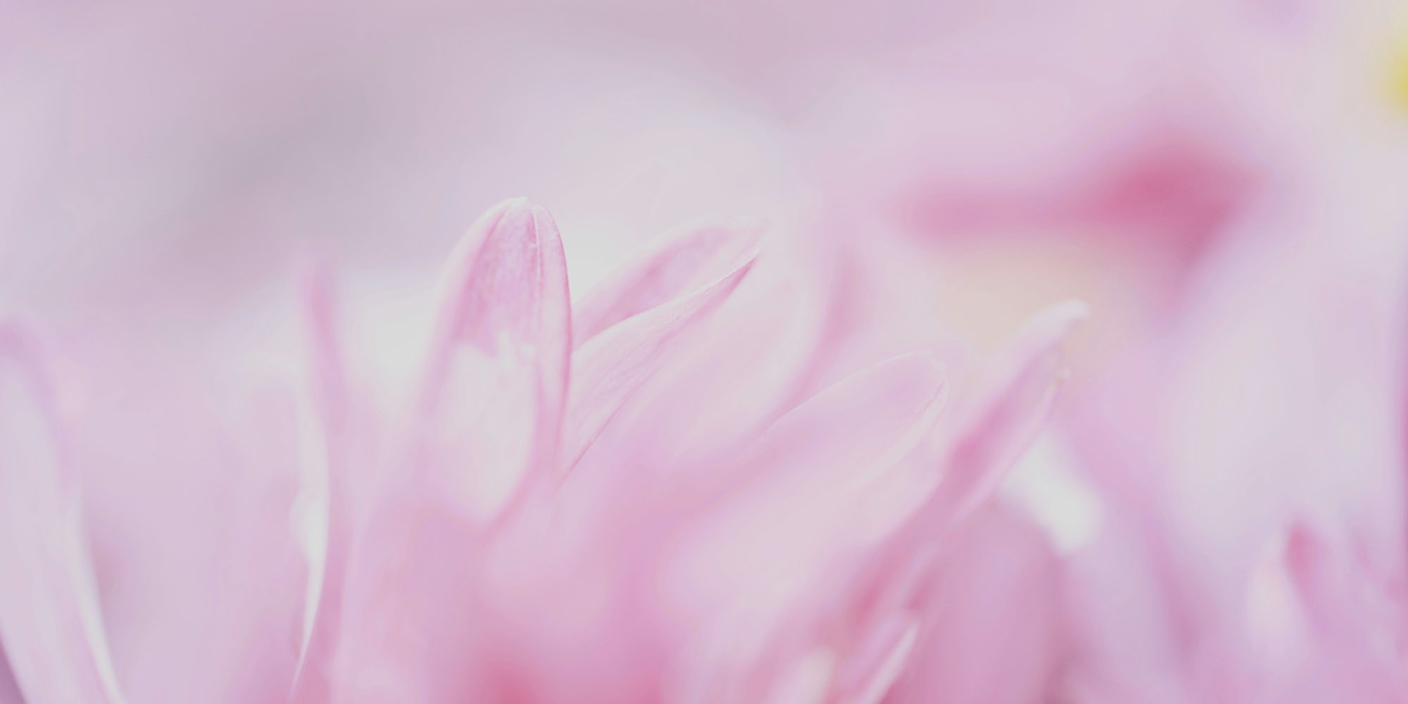 photo of Leaker backs iPhone 18 Pro variable aperture lens reports; maybe Pro Max only image