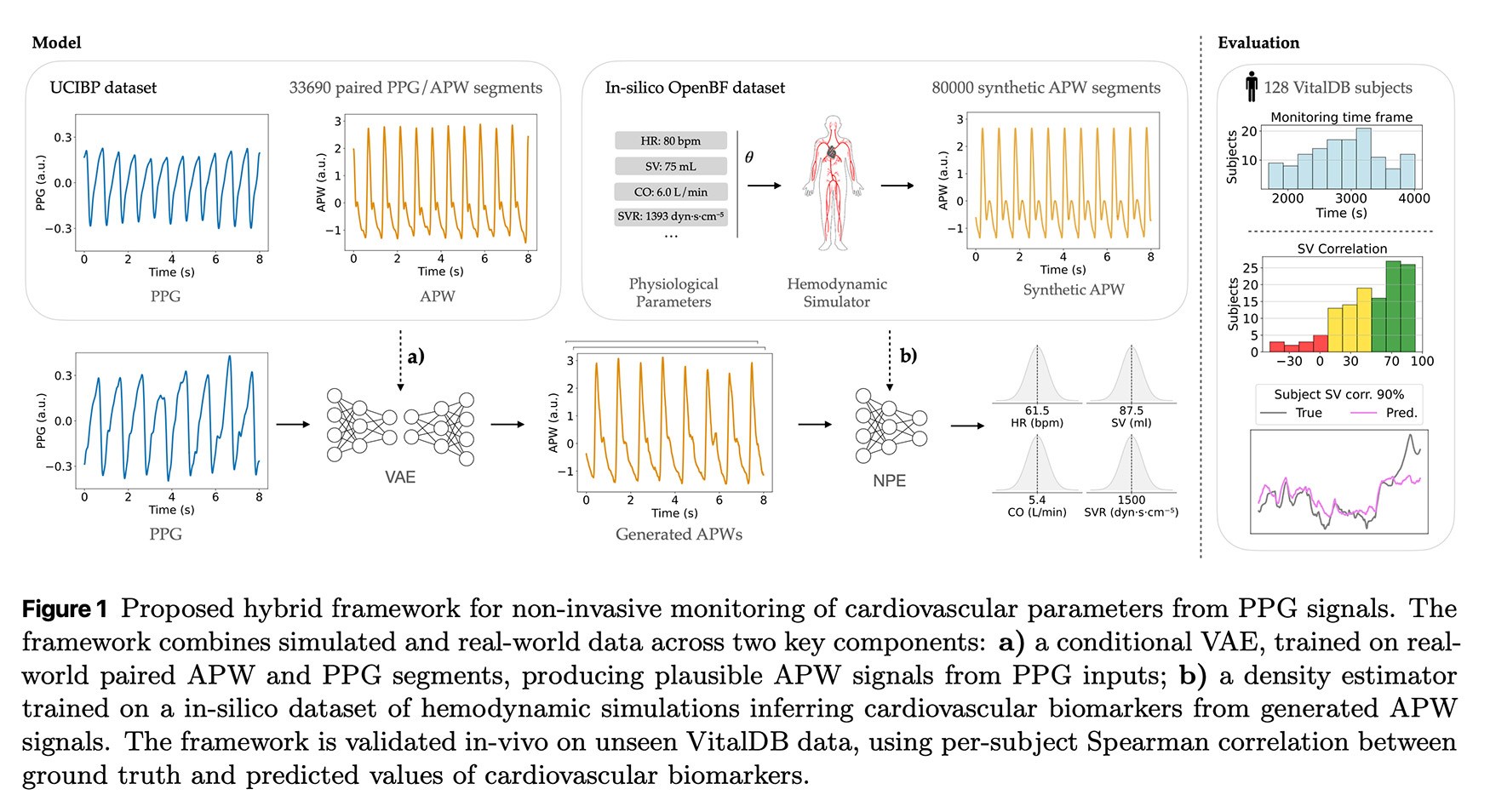 Ppg Study AI study shows how the Apple Watch could extract richer heart data ...