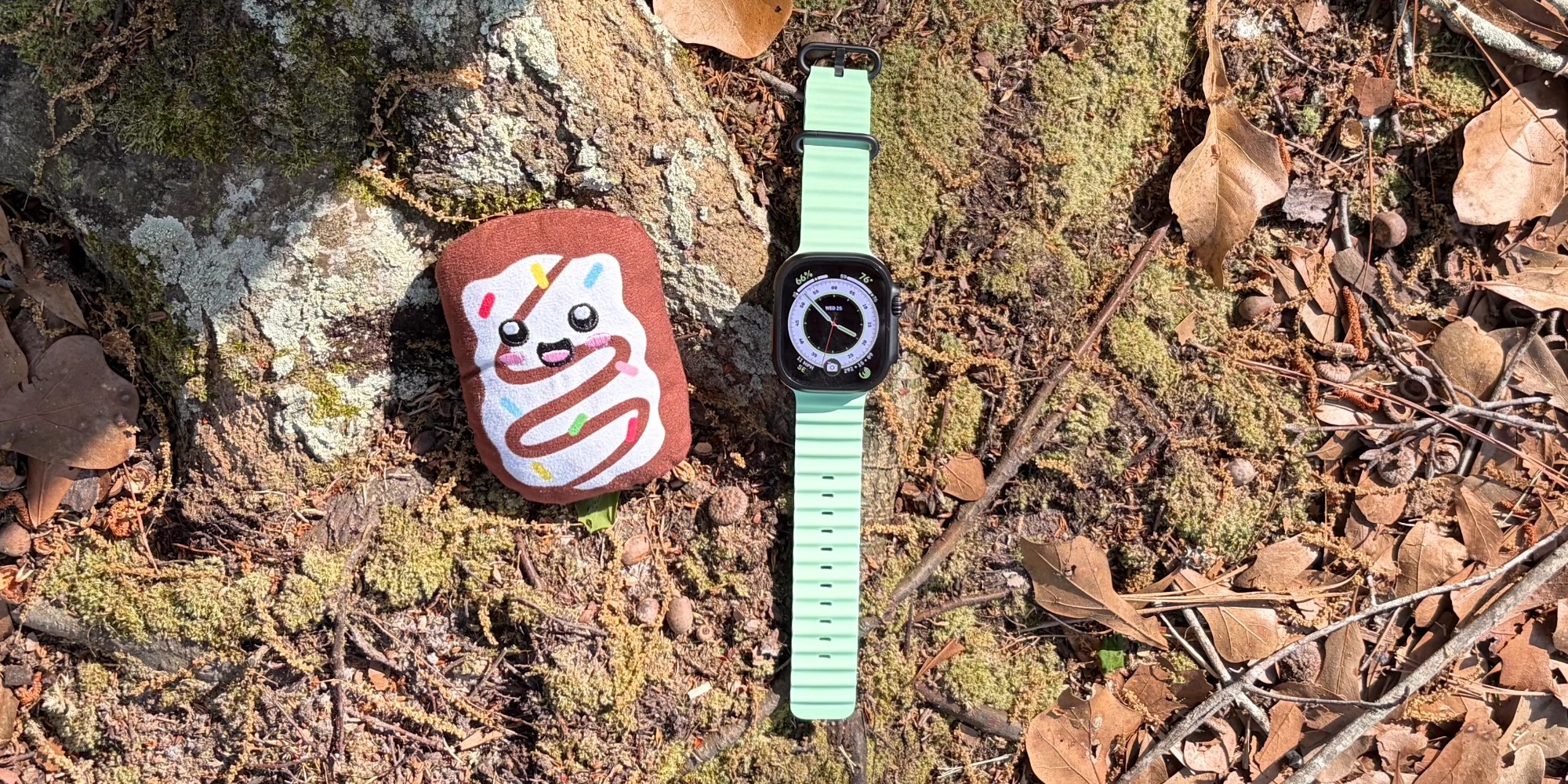 photo of Apple Watch and my plush Pop-Tart image