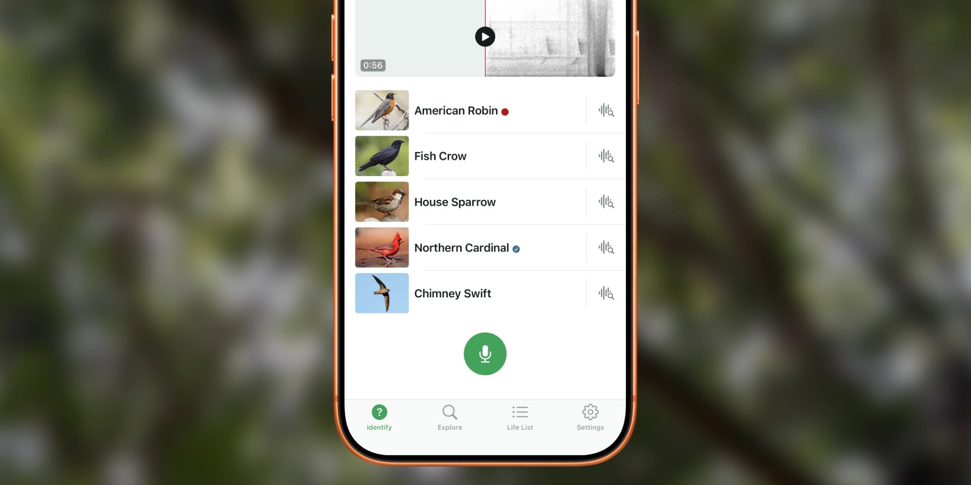 photo of This free iPhone app from Cornell answers nature’s greatest springtime mystery image