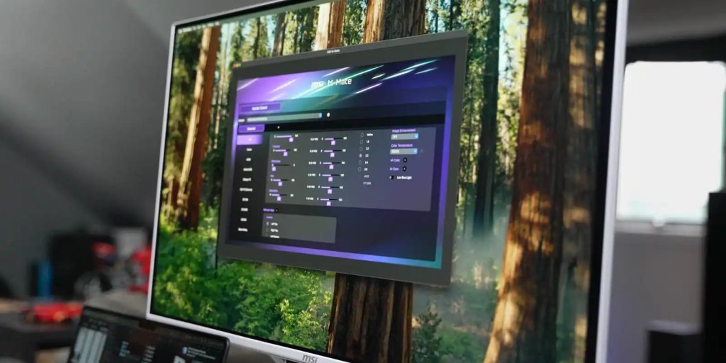 MSI Pro Max display