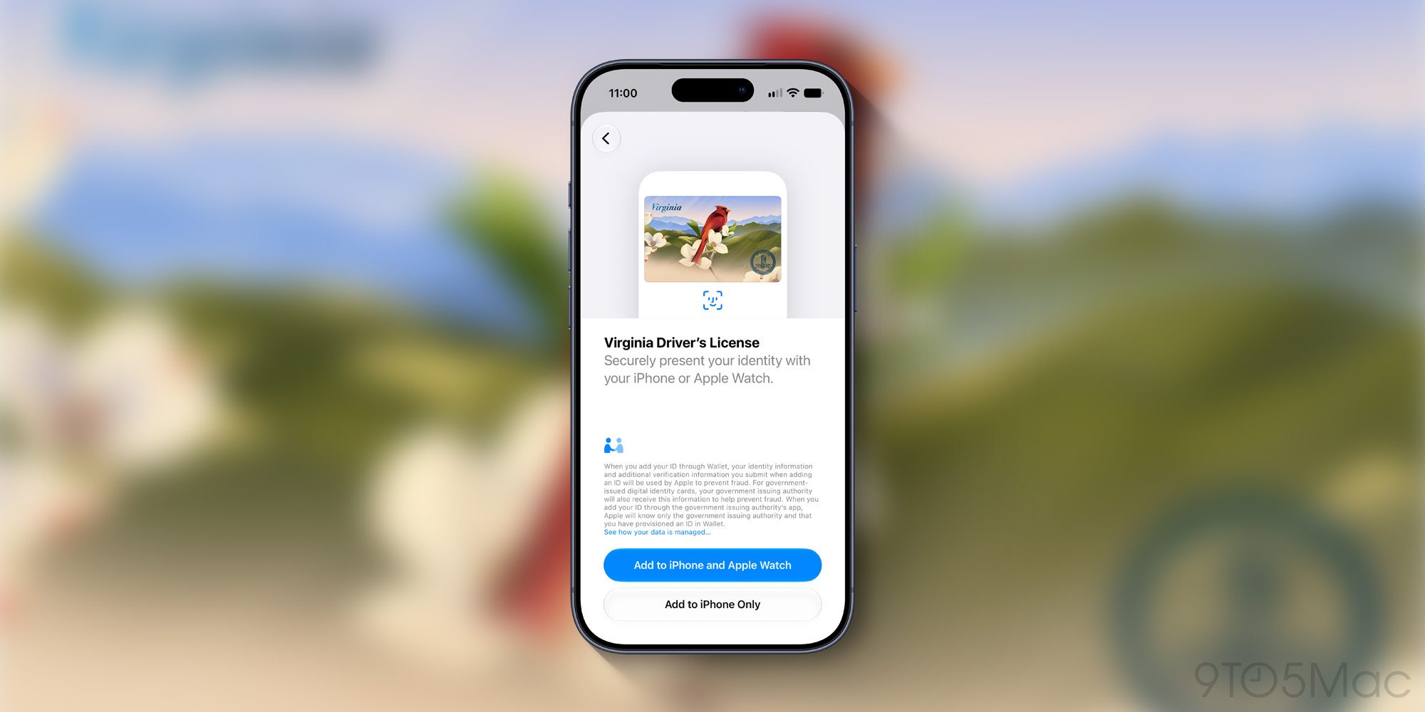 photo of Apple Wallet driver’s license support launches in Virginia image