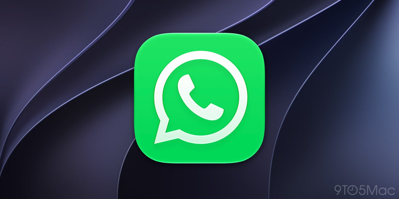 WhatsApp starts rolling out new in-chat search button on iOS