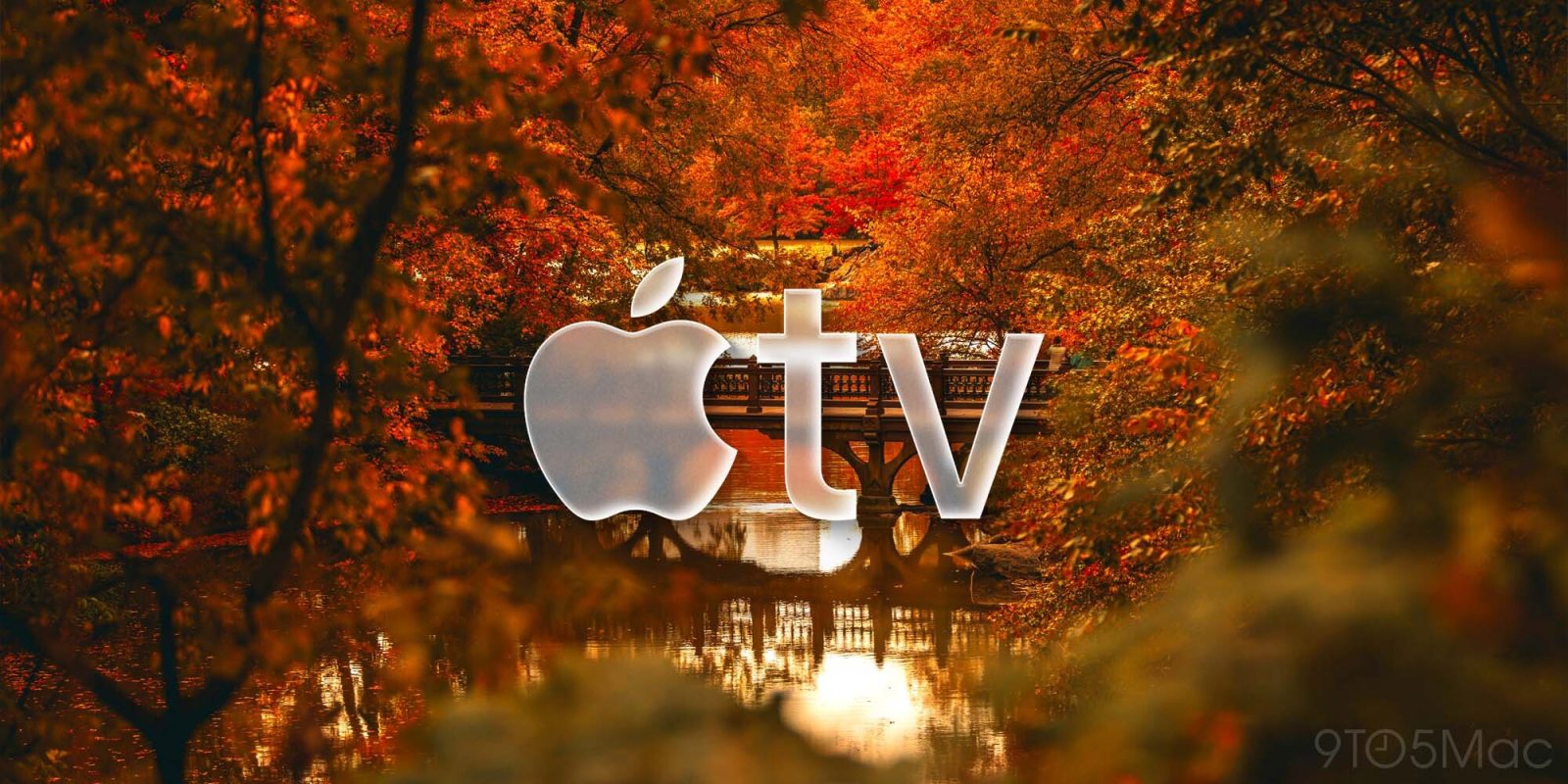 Вот всё новое, что появится на Apple TV в ноябре