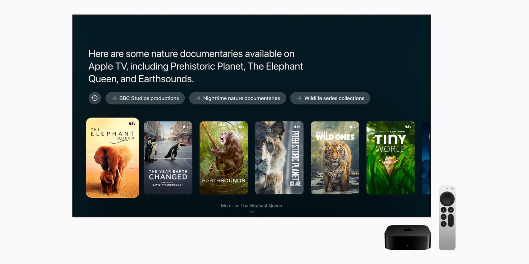 Logo A15 Bionic New Apple TV 4K vs previous model: Here’s everything new - 9to5Mac